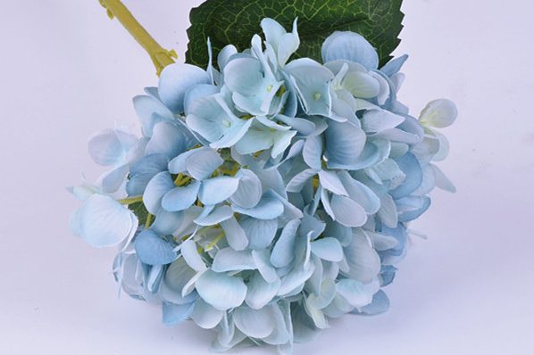 Best selling hydrangea wholesale for occasion wedding (4)
