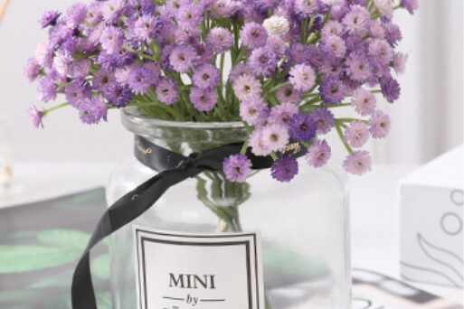 Mini Flower Gypsophila babysbreath Wholesale Dried Flowers (3)