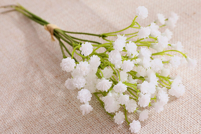 Wholesale Artificial Flower Babysbreath Preserved Everlasting Real And Natural (2)