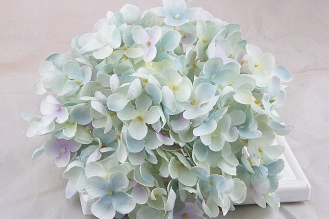wholesale factory supply big leaf hydrangea for flower bouquets (4)