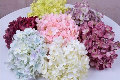 wholesale factory supply big leaf hydrangea for flower bouquets (7)