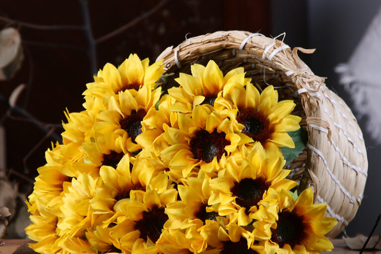 8621040586_1358735368