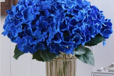 DIY Material Immortal Preserved Fresh Anna hydrangea Flower the Colorful Forever Lasting hydrangea With branches (6)