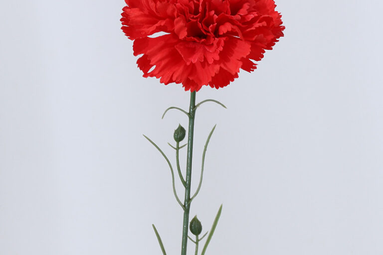 Hot Selling Wholesale hot sales decoration flower died eternal forever carnation for Mothers day gift (3)