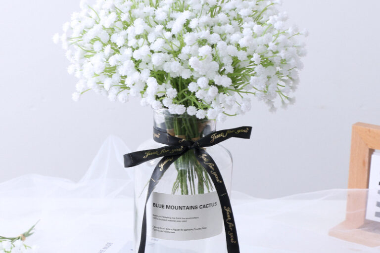 Real Dried Pressed Flower, Babysbreath (2)