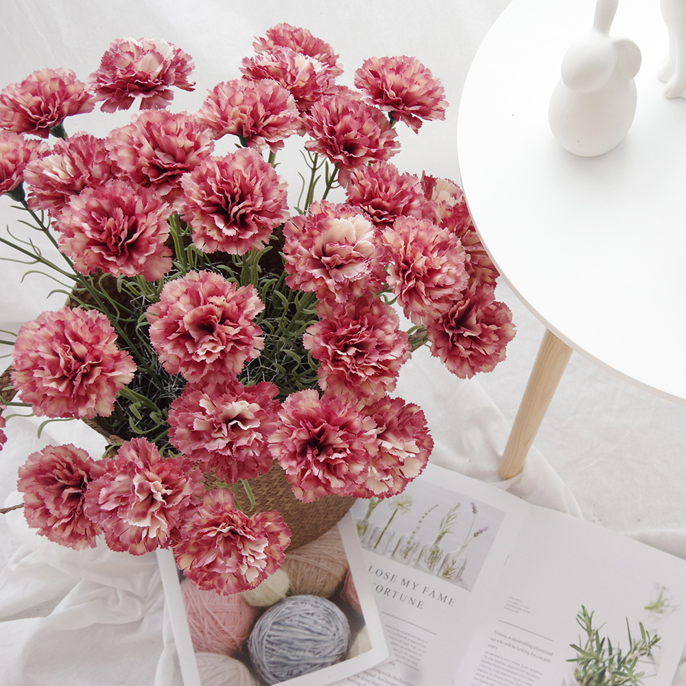 Wholesale 10 stems per pack natural dry carnation Artificial Flowers