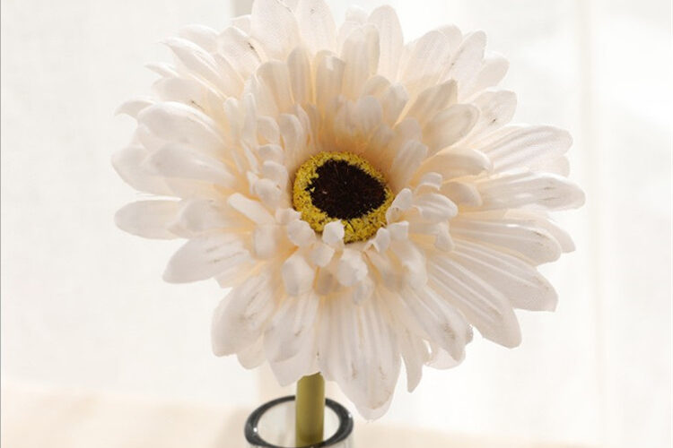 Wholesale Cheap Artificial Flowers Preserved Dried Rhodanthe Daisy Chrysanthemums For Wedding Christmas Decoration (2)