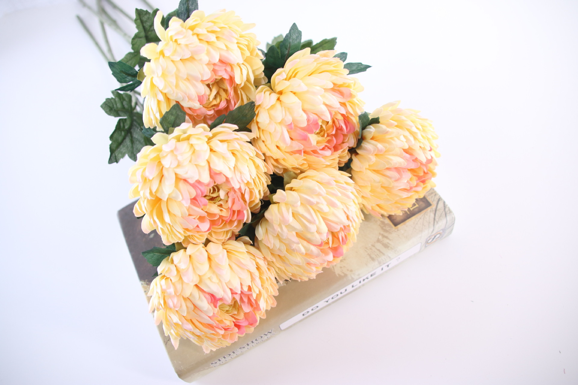 Wholesale Hot sale Artificial flowers and Dried flowers daisy for Decoration (6)