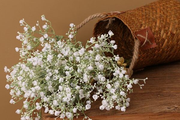 Wholesale preserved flower babysbreath preserved Gypsophila (4)