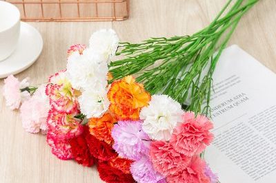 multi color 6 heads artificial flowers silk carnation dianthus caryophyllus bouquet indoor bonsai flower (2)
