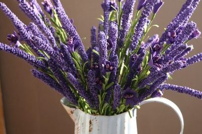 wholesale lavender Random Mix Dried Flower Plant for Resin Jewelry Dry Plants (3)