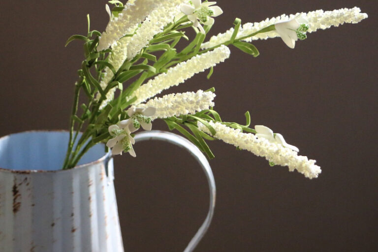 wholesale lavender Random Mix Dried Flower Plant for Resin Jewelry Dry Plants (5)