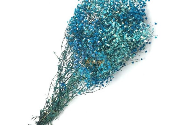 60cm Preserved Natural Baby’s Breath Flowers for Home Christmas Wreath Decor Set of 12 (5)