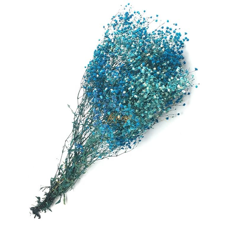 60cm Preserved Natural Baby’s Breath Flowers for Home Christmas Wreath Decor Set of 12 (5)