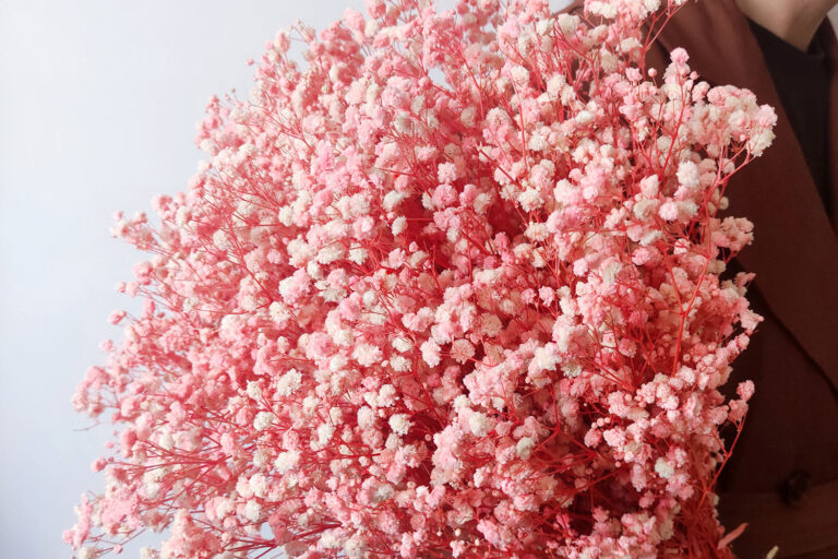 Baby Breath Flowers, White Gypsy Flower Dry Baby’s Breath for DIY Crafts & Wedding Decor – Wholesale Factory Supply (3)