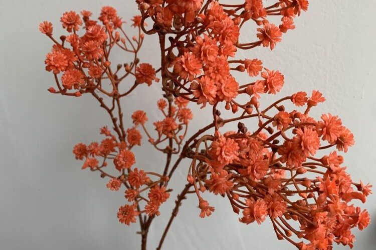 Hot Selling Green Real Touch Baby’s Breath Artificial Flowers for Wedding Decor (5)