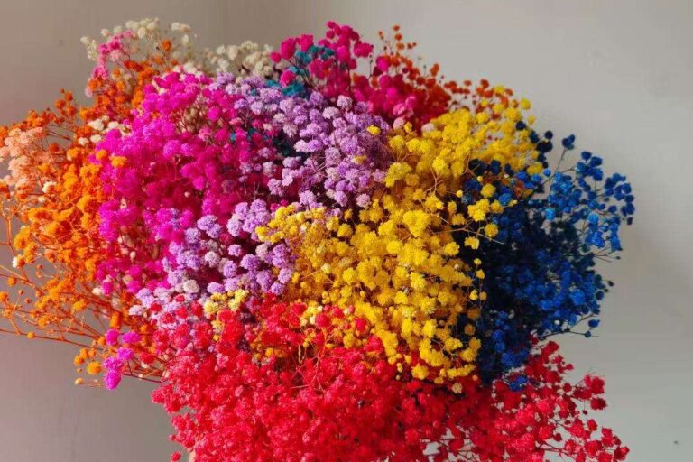 Lovebay Colorful Real Gypsophila Preserved 120g Wholesale Natural Long Lasting Preserved Babys Breath Flowers for Wed ( (7)