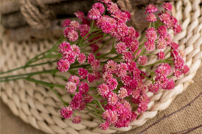 Real Touch Latex Baby’s Breath Artificial Flowers 7 Colors for Wedding Decor (5)