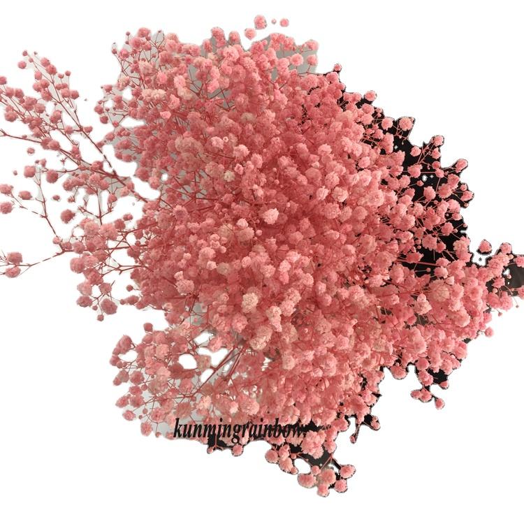 White Preserved Baby’s Breath Dried Gypsophila Flowers for Long-Lasting Decor (1)