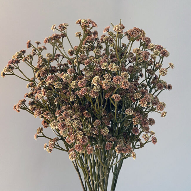 White and Brown Real Touch Artificial Baby's Breath Gypsophila Flowers